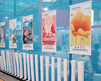 棉质油画布（水性,哑面,耐水） 写真材料